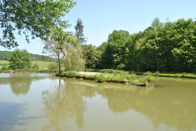 /international/fr/lure-franche-comte-120090796966/?lang=de