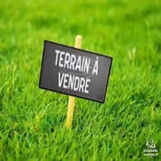 /international/fr/bouloc-midi-pyrenees-310108056547/