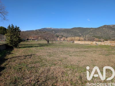 /international/fr/vinca-languedoc-roussillon-310105100169/