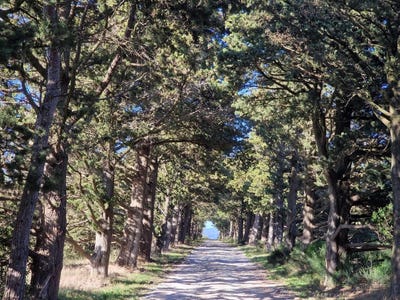 /international/fr/argens-minervois-languedoc-roussillon-120094225627/?lang=en
