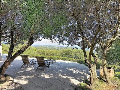 /international/fr/tanneron-provence-alpes-cote-d-azur-310109050232/?lang=fr