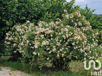 /international/fr/varaignes-aquitaine-310100013519/?lang=en
