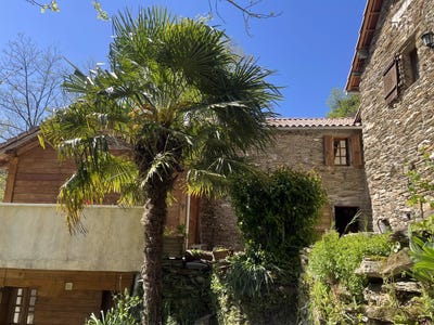 /international/fr/saint-michel-de-deze-languedoc-roussillon-310098974724/