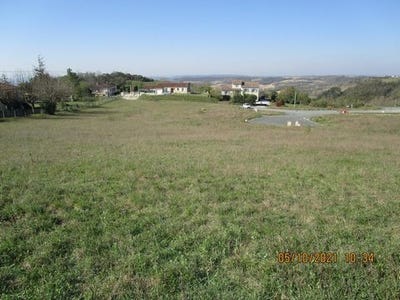 /international/fr/lautrec-midi-pyrenees-310108186889/