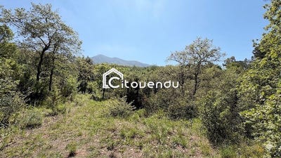 /international/fr/montesquieu-des-alberes-languedoc-roussillon-310104865437/