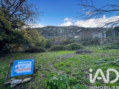 /international/fr/santo-pietro-di-tenda-corsica-310105337149/