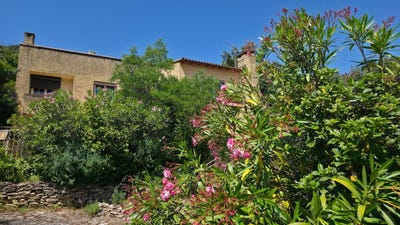 /international/fr/villeneuve-les-avignon-languedoc-roussillon-310108929748/