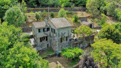/international/fr/saint-paul-la-coste-languedoc-roussillon-310103087826/