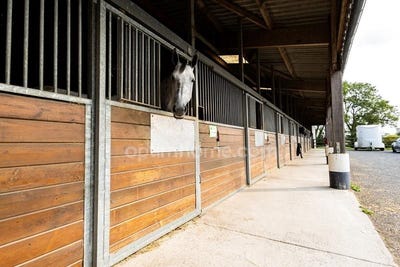 /international/fr/bernesq-la-basse-normandie-310099725518/?lang=zh-tw