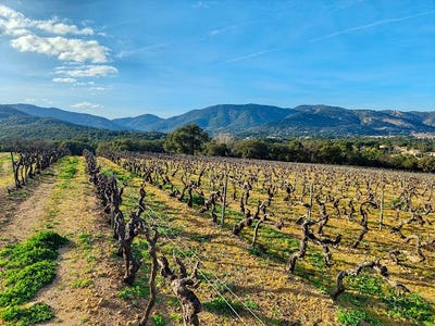 /international/fr/grimaud-provence-alpes-cote-d-azur-310107738468/