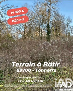 /international/fr/tonnerre-burgundy-310104298766/
