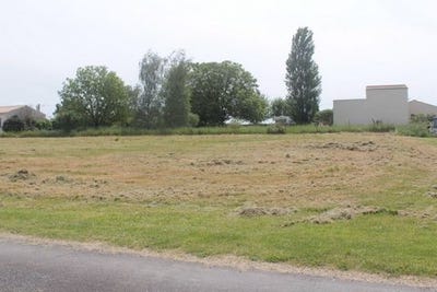 /international/fr/bois-charente-310107947502/