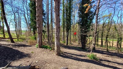 /international/fr/cabanes-midi-pyrenees-310106942743/