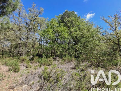 /international/fr/canet-en-roussillon-languedoc-roussillon-310107008339/