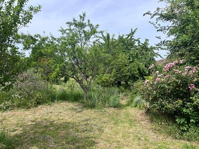 /international/fr/mareil-sur-mauldre-ile-de-france-310108619825/