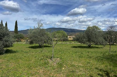 /international/fr/bedoin-provence-alpes-cote-d-azur-310100039854/
