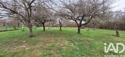 /international/fr/mosnay-centre-val-de-loire-310106575219/