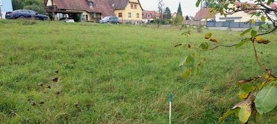 /international/fr/westhoffen-alsace-310102967304/