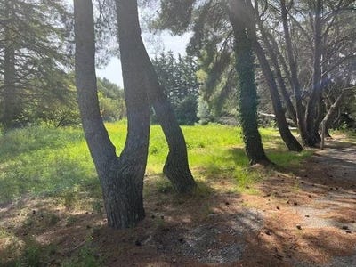/international/fr/narbonne-languedoc-roussillon-310104337390/