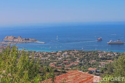 /international/fr/monticello-corsica-310106593780/