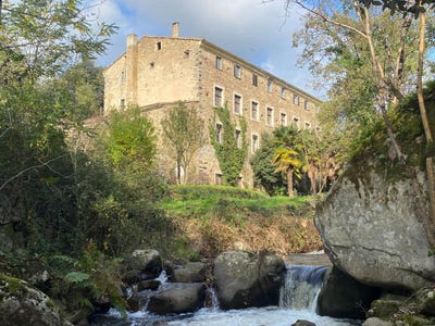/international/fr/brousses-et-villaret-languedoc-roussillon-310099277207/