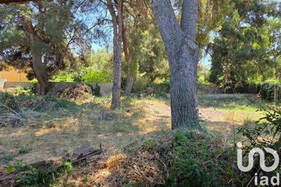 /international/fr/arles-provence-alpes-cote-d-azur-310101132958/
