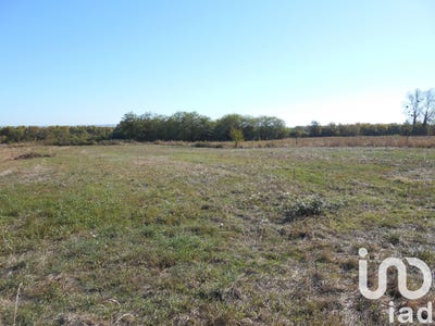 /international/fr/fourques-sur-garonne-aquitaine-310099423529/