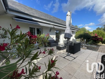 /international/fr/nieul-charente-310101105868/?lang=zh-tw