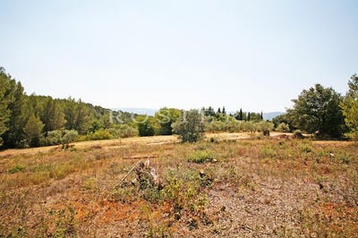 /international/fr/beaumettes-provence-alpes-cote-d-azur-120093295134/