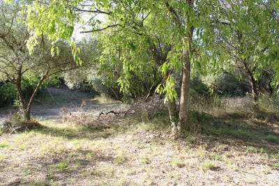 /international/fr/uchaud-languedoc-roussillon-310102610221/