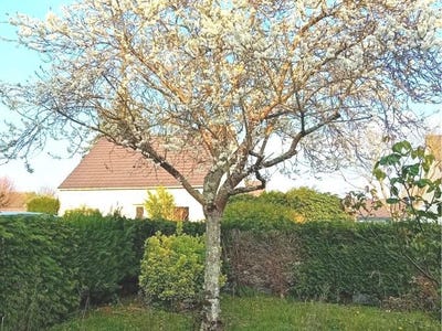 /international/fr/hericy-ile-de-france-310104421535/