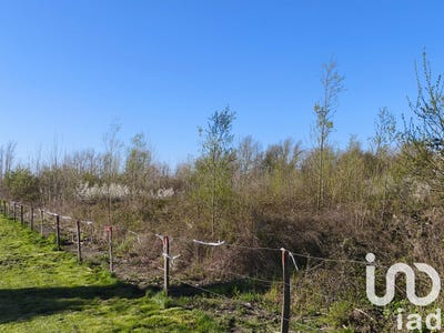 /international/fr/vouvray-centre-val-de-loire-310100012982/