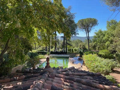 /international/fr/brignoles-provence-alpes-cote-d-azur-310108262373/