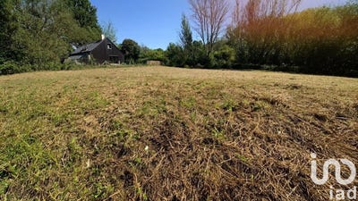 /international/fr/saint-etienne-de-chigny-centre-val-de-loire-310108180694/
