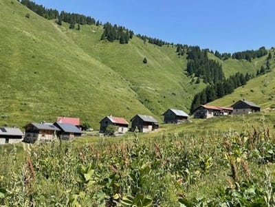 /international/fr/le-petit-bornand-les-glie-rhone-310100559770/?lang=en