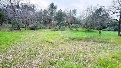 /international/fr/carnoules-provence-alpes-cote-d-azur-310106191642/