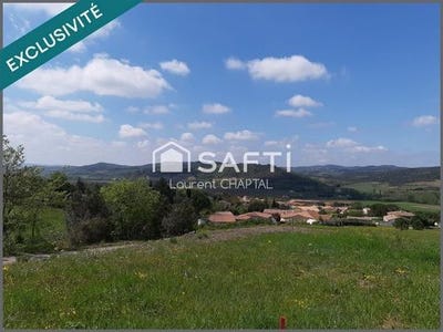 /international/fr/pomas-languedoc-roussillon-310099007479/