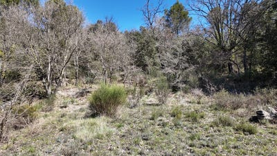 /international/fr/entrechaux-provence-alpes-cote-d-azur-310107562354/