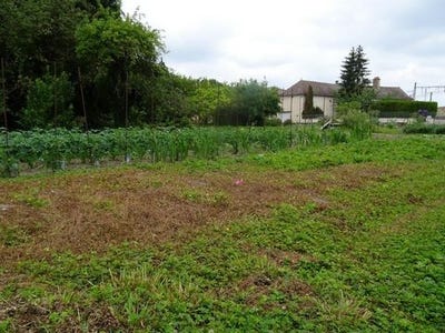 /international/fr/fontaines-burgundy-310107648308/