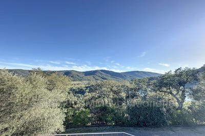/international/fr/la-mole-provence-alpes-cote-d-azur-310100714130/