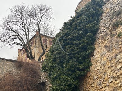 /international/fr/la-verdire-provence-alpes-cote-d-azur-310108209566/