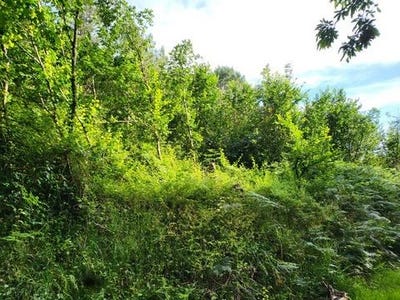 /international/fr/ploneour-lanvern-brittany-120093016873/
