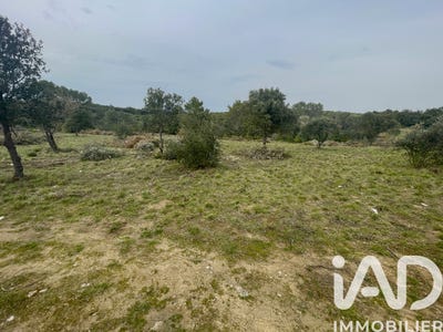 /international/fr/aigaliers-languedoc-roussillon-310106593606/