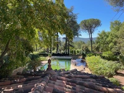 /international/fr/brignoles-provence-alpes-cote-d-azur-310108330187/
