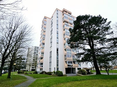 /international/fr/cholet-pays-de-la-loire-310098802449/