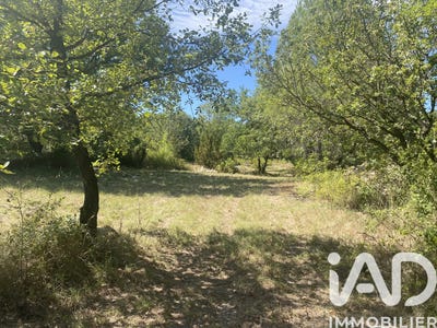 /international/fr/laroque-midi-pyrenees-310105908069/