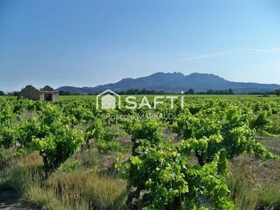 /international/fr/sarrians-provence-alpes-cote-d-azur-310107238067/