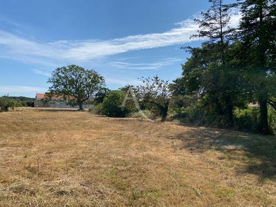 /international/fr/longeville-sur-mer-pays-de-la-loire-310104463519/