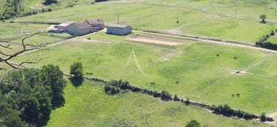 /international/fr/saint-gal-sur-sioule-auvergne-310109521818/