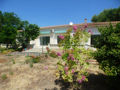 /international/fr/alignan-du-vent-languedoc-roussillon-310101514121/